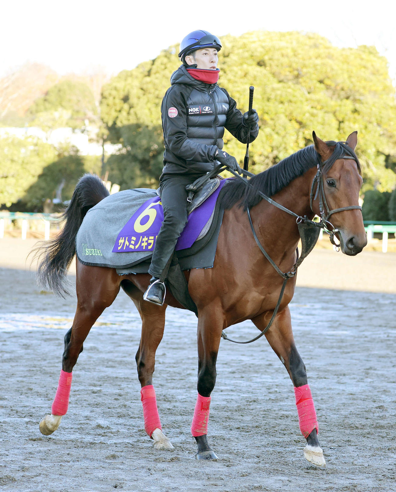 乗り運動するサトミノキラリ（2023年12月13日撮影）