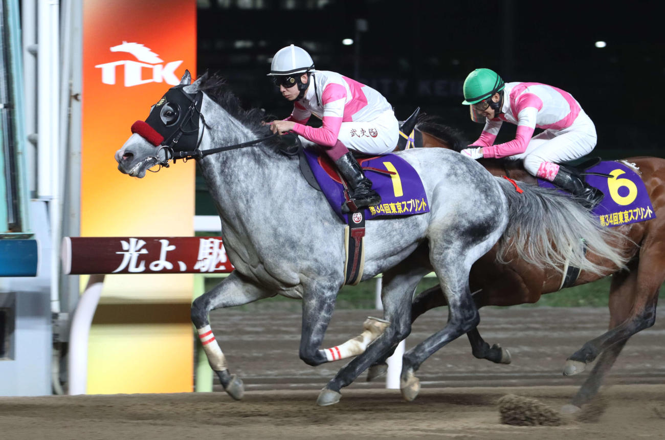 4月19日、東京スプリントを制したリュウノユキナと横山武史騎手