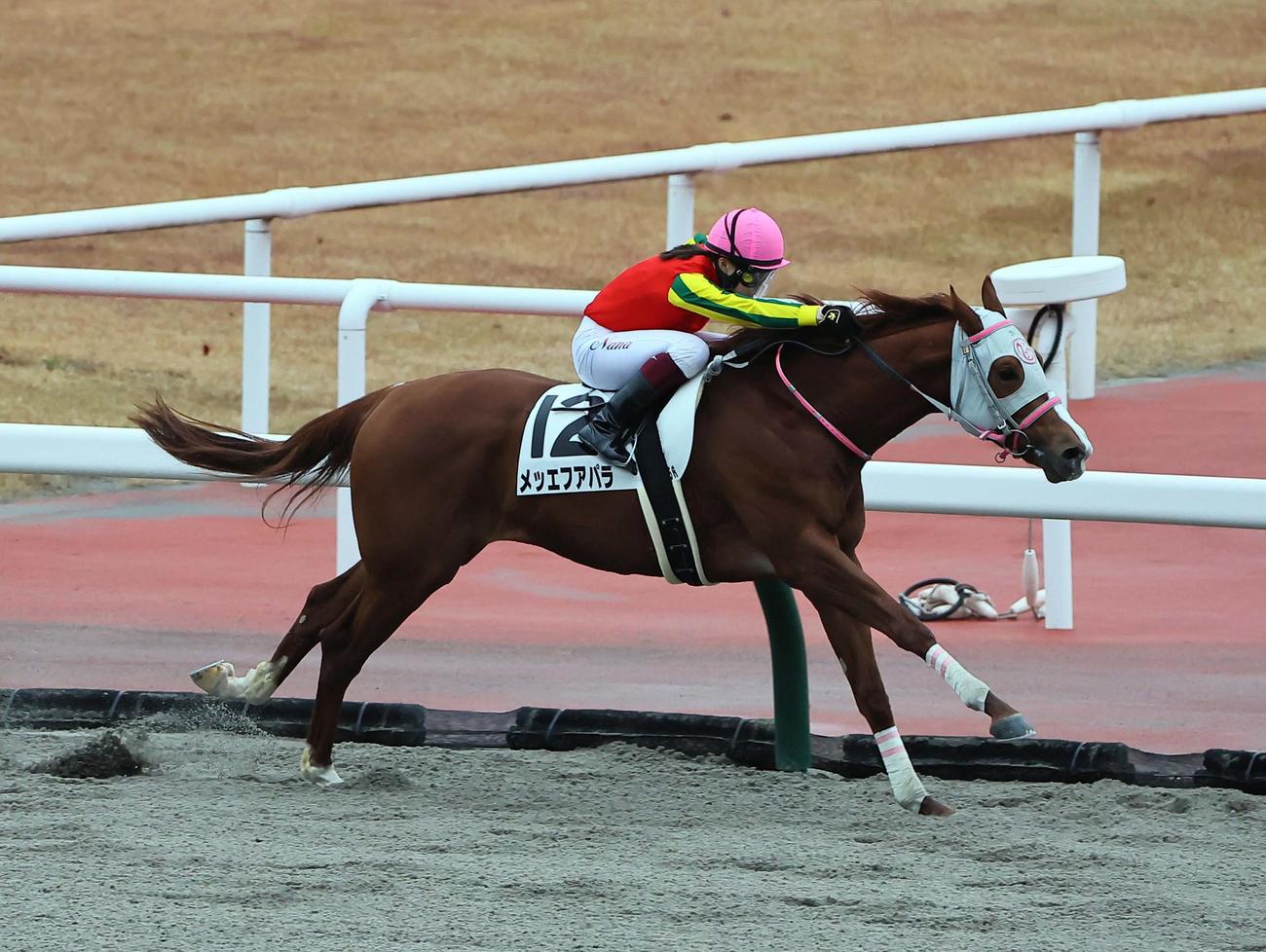 5Rメイクデビュー中京　1着のメッエフアパラ（右）と河原田菜々騎手（撮影・上田博志）