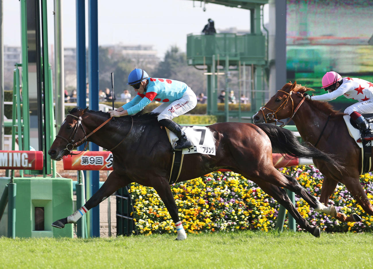 中山5R新馬戦を制したターコイズフリンジ（左）とマーカンド騎手（撮影・鈴木正人）