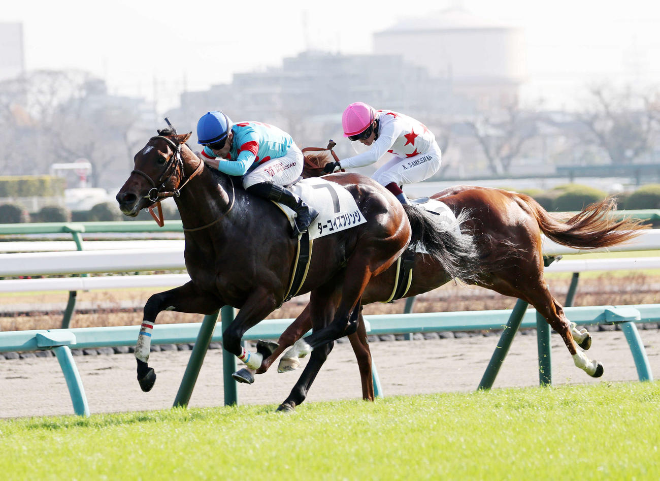 中山5R新馬戦を制したターコイズフリンジ（左）とマーカンド騎手（撮影・鈴木正人）