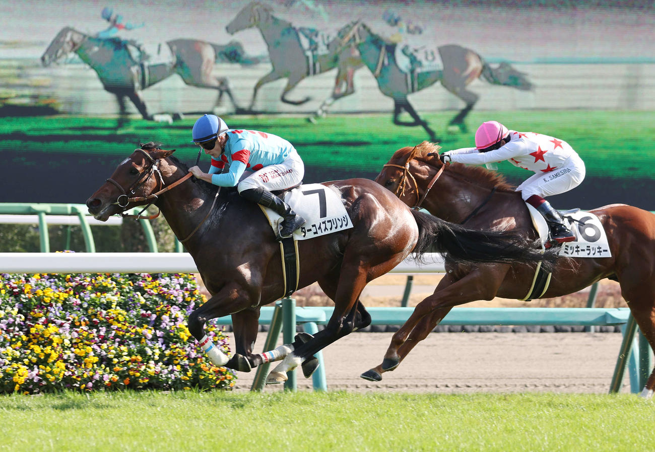 中山5R新馬戦を制したターコイズフリンジ（左）とマーカンド騎手（撮影・鈴木正人）