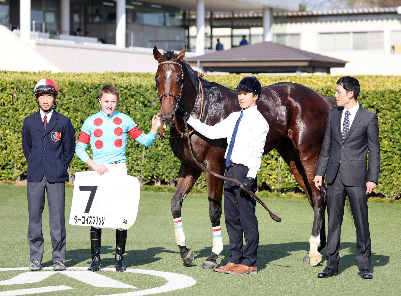 中山5R新馬戦を制したターコイズフリンジとマーカンド騎手（撮影・鈴木正人）