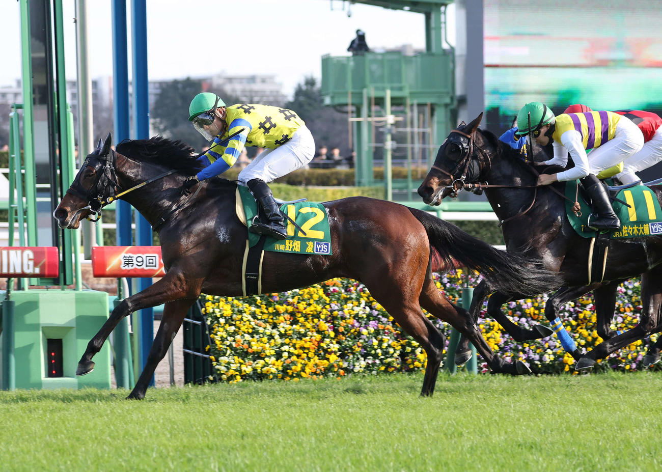 YJSファイナル中山1を制したラエール（左）と野畑凌騎手（撮影・鈴木正人）