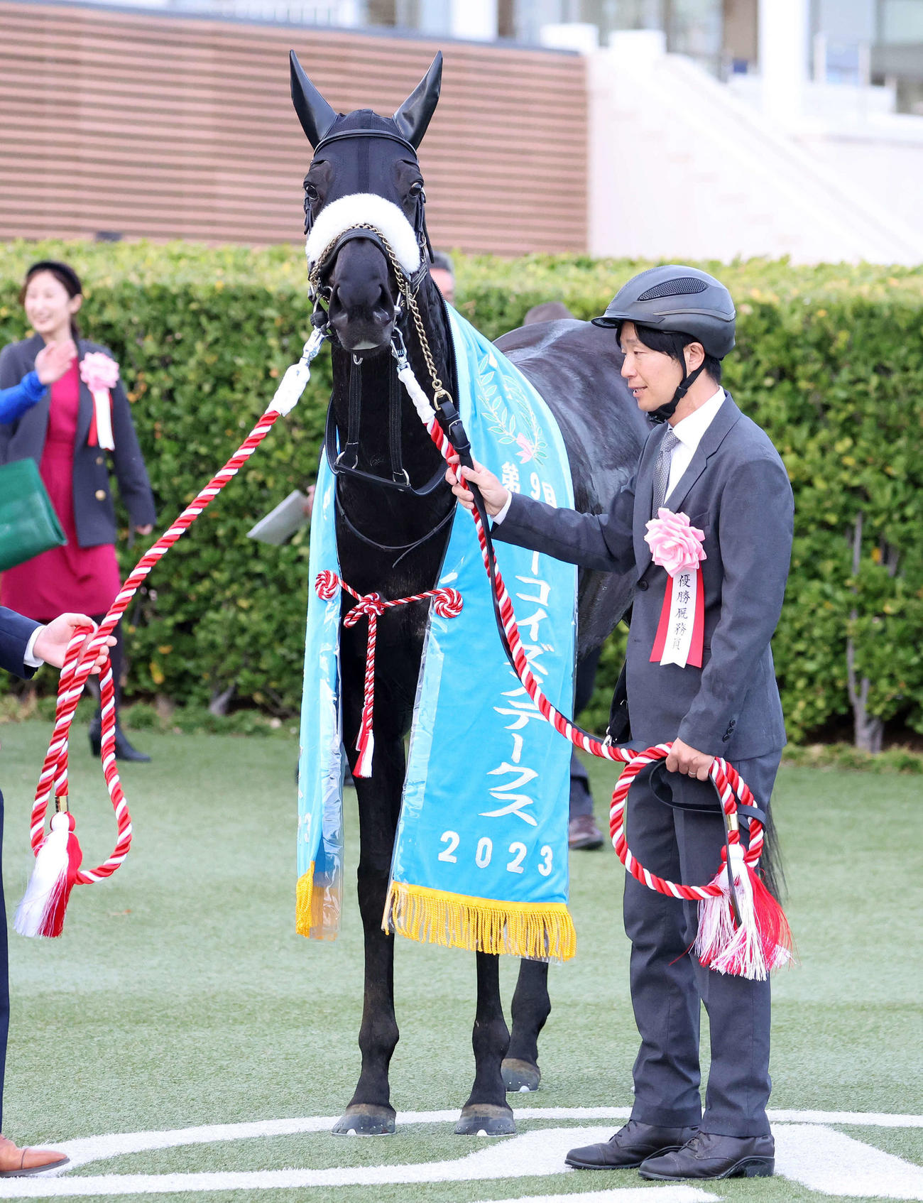 ターコイズSを制したフィアスプライド（撮影・鈴木正人）