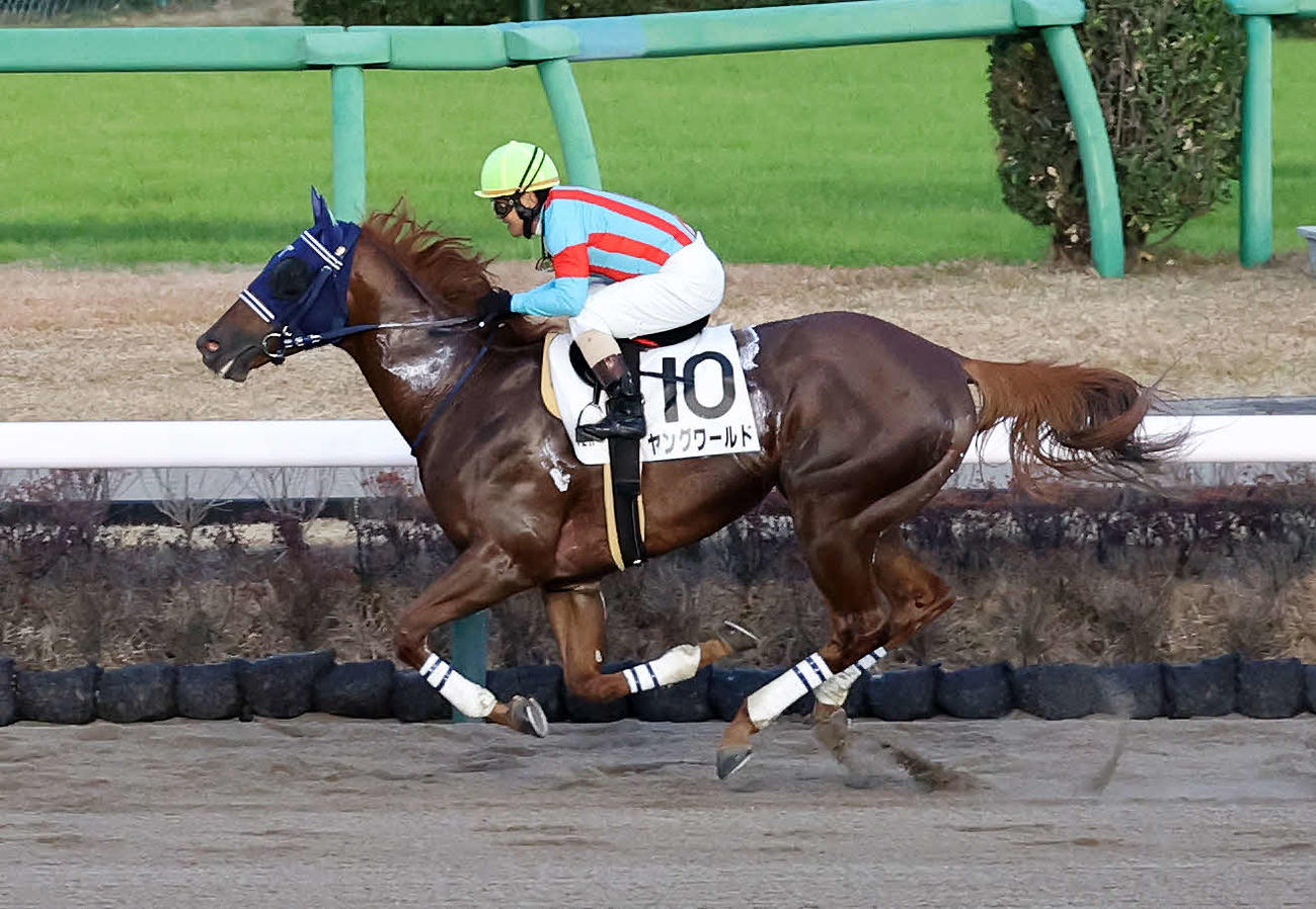 3歳以上1勝クラスを制したヤングワールドと田中勝春騎手（撮影・鈴木正人）