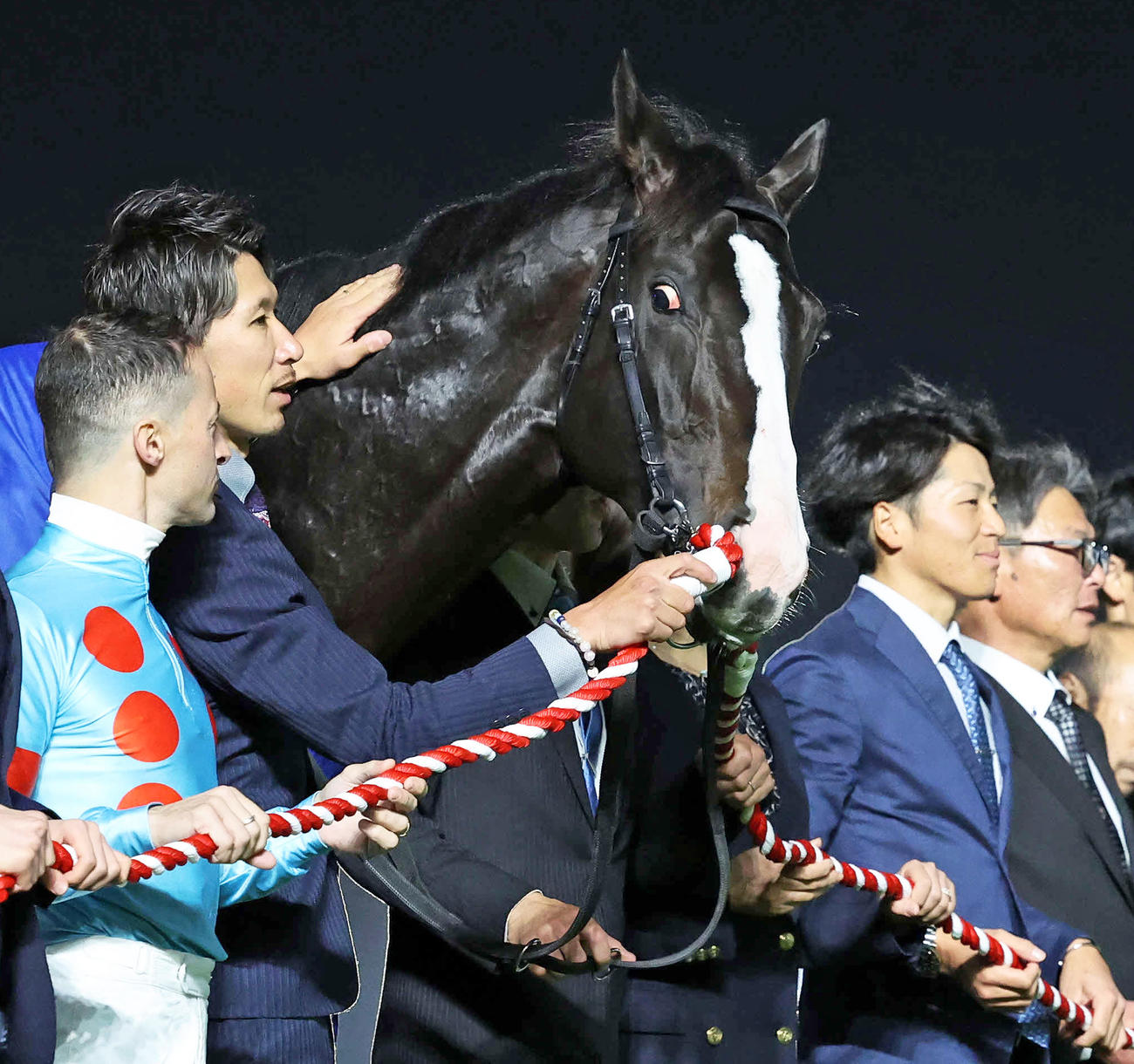 引退式でルメール騎手の方を見つめるイクイノックス（撮影・鈴木正人）