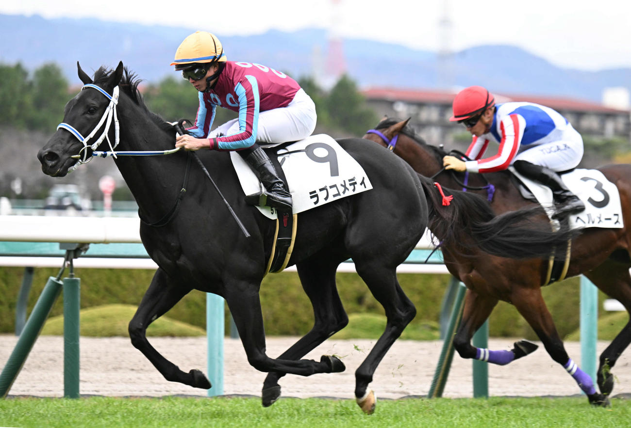 阪神5R、好位から抜け出し新馬戦を制するラブコメディ（左）（撮影・和賀正仁）