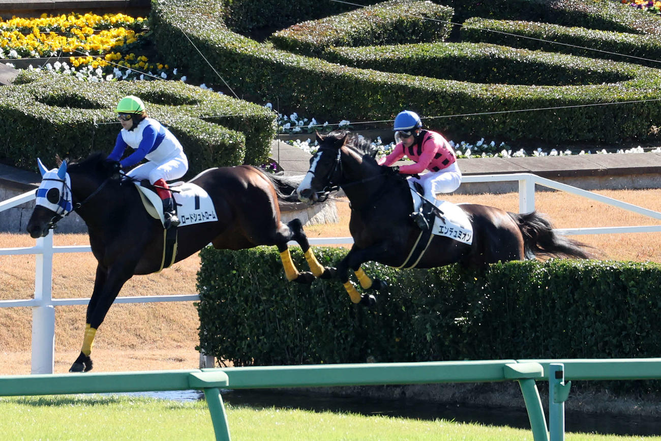 障害3歳以上未勝利を制したエンデュミオン（右）と水沼元輝騎手（撮影・鈴木正人）