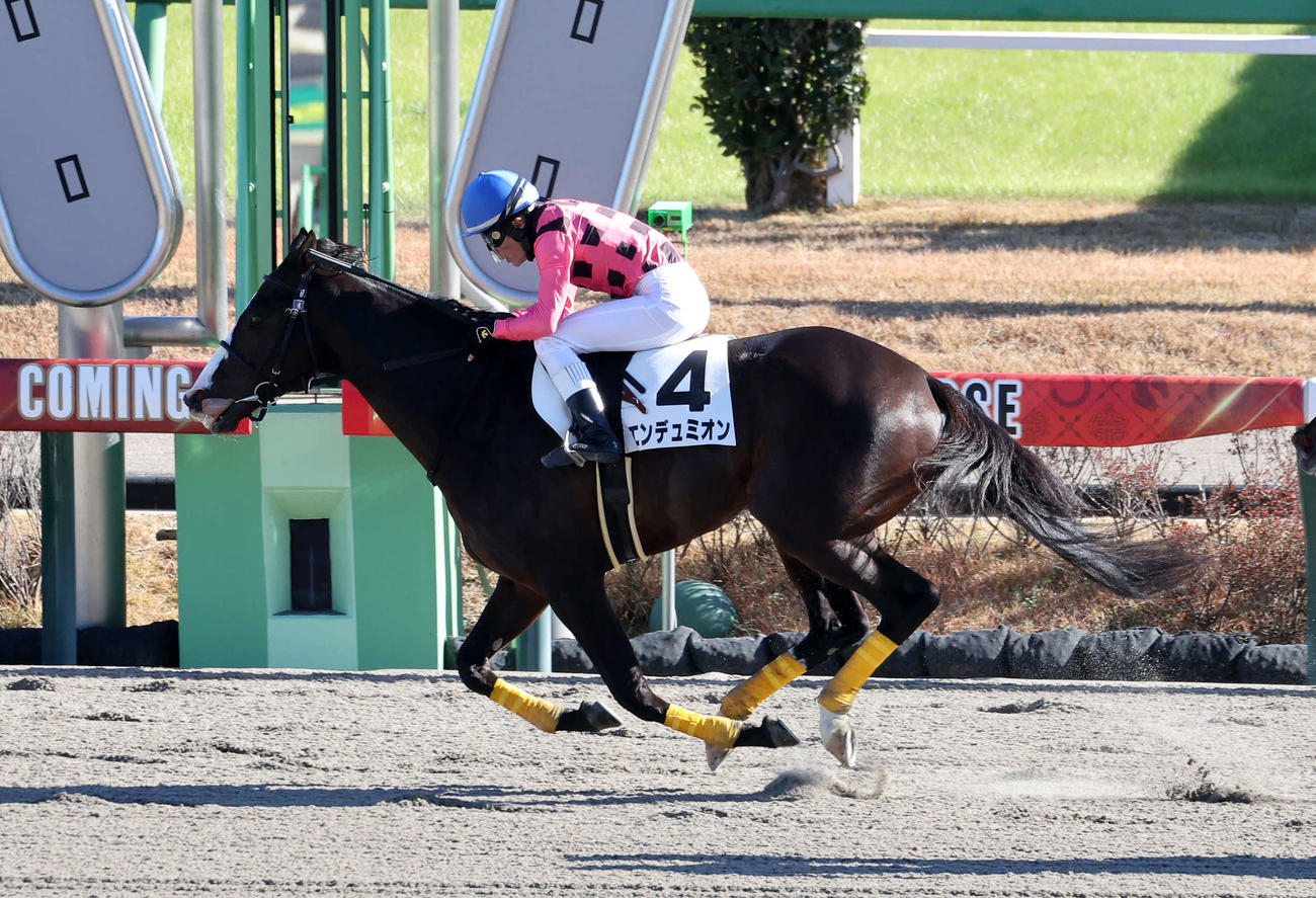 障害3歳以上未勝利を制したエンデュミオンと水沼元輝騎手（撮影・鈴木正人）