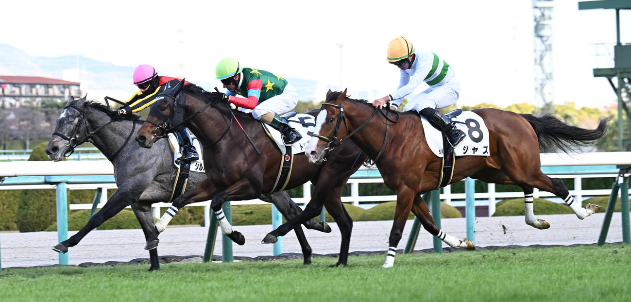 阪神5R、ゴール前の接戦を制し新馬戦に勝利するトップオブザロック（中央）（撮影・和賀正仁）