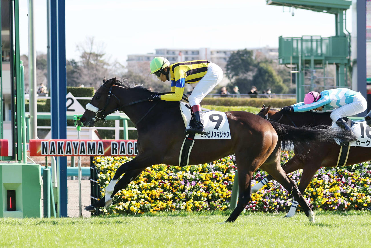中山5R、新馬戦を制したミラビリスマジック（左）と田辺裕信騎手（撮影・鈴木正人）