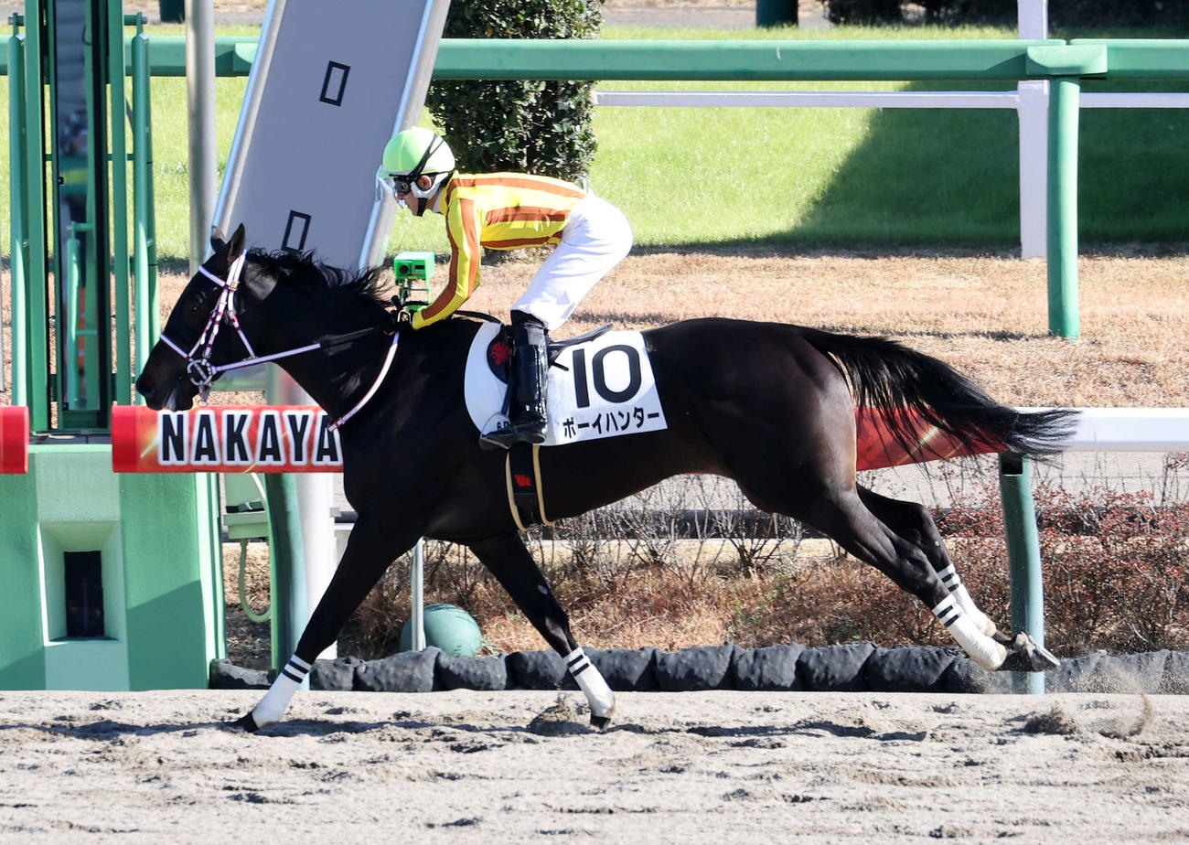 中山6R、新馬戦を制したボーイハンターと丹内祐次騎手（撮影・鈴木正人）