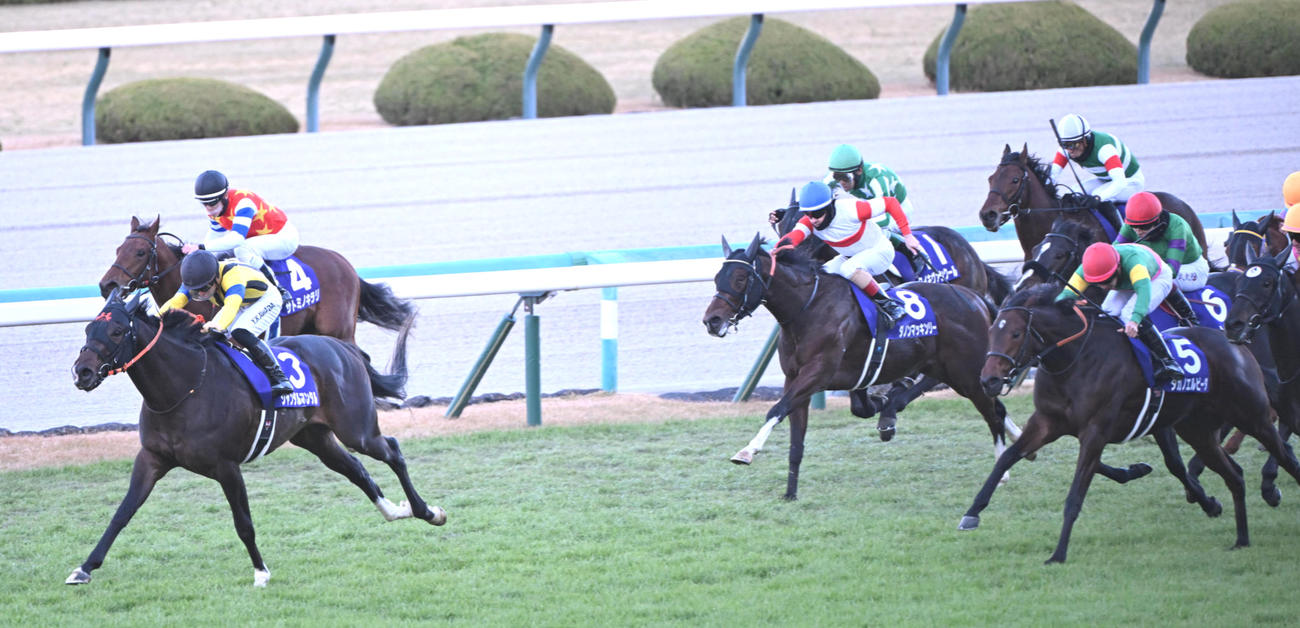 直線追い込み3着のタガノエルピーダ（右）。左は勝ったジャンタルマンタル（撮影・和賀正仁）