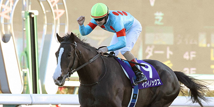 イクイノックスで有馬記念を制してガッツポーズを決めるルメール騎手（撮影・丹羽敏通）＝2022年12月25日、中山競馬場