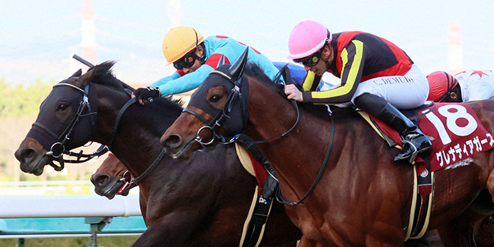 ゴール前、馬群を割り阪神カップを制するダイアトニックと岩田康騎手（左から3頭目）（撮影・加藤哉）＝2022年12月24日、阪神競馬場