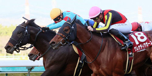 ゴール前、馬群を割り阪神カップを制するダイアトニックと岩田康騎手(左から3頭目)(撮影・加藤哉)=2022年12月24日、阪神競馬場