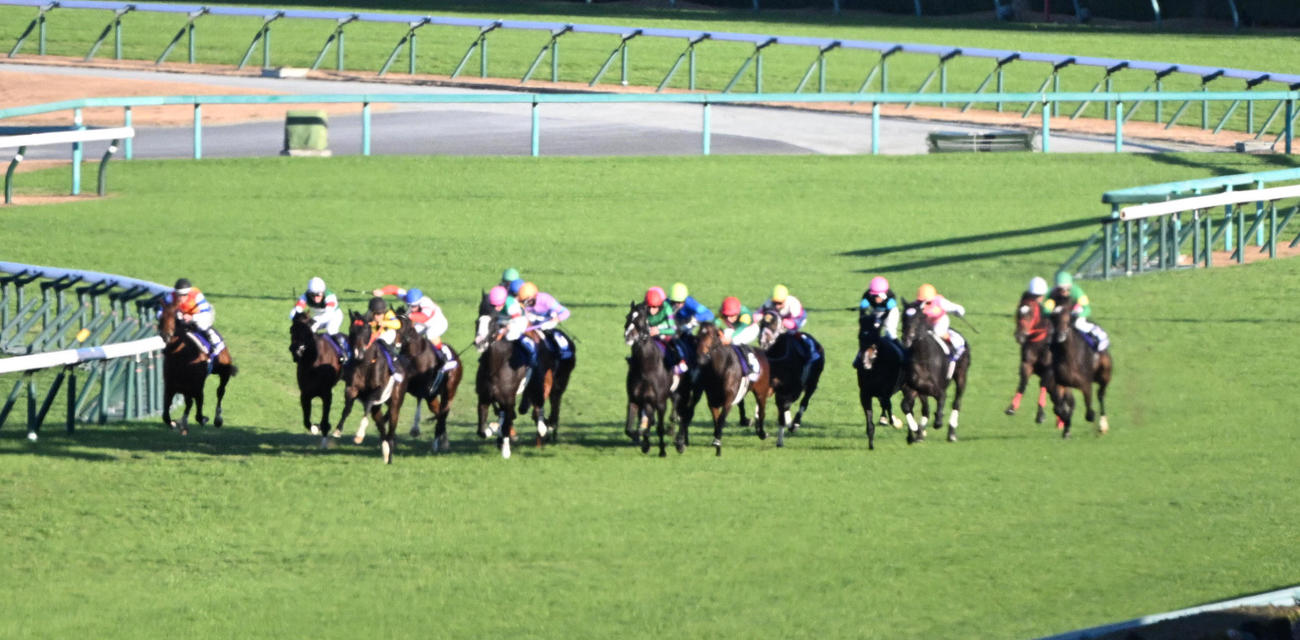 直線に入り先頭に立つジャンタルマンタル（撮影・和賀正仁）