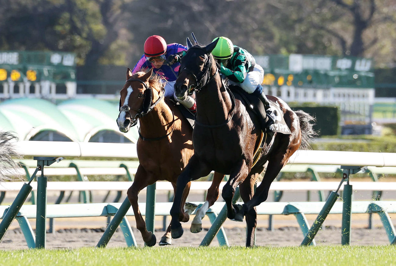 ひいらぎ賞を制したシックスペンス（右）と石川裕紀人騎手（撮影・鈴木正人）