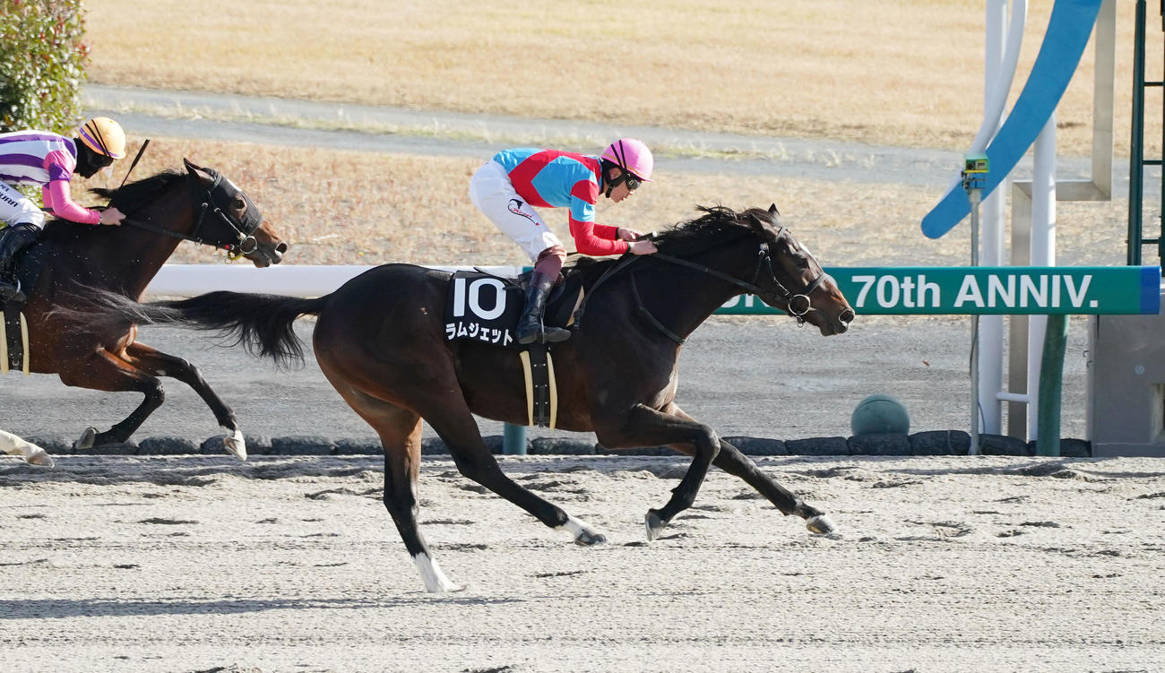 寒椿賞を勝ったラムジェット（撮影・森本幸一）