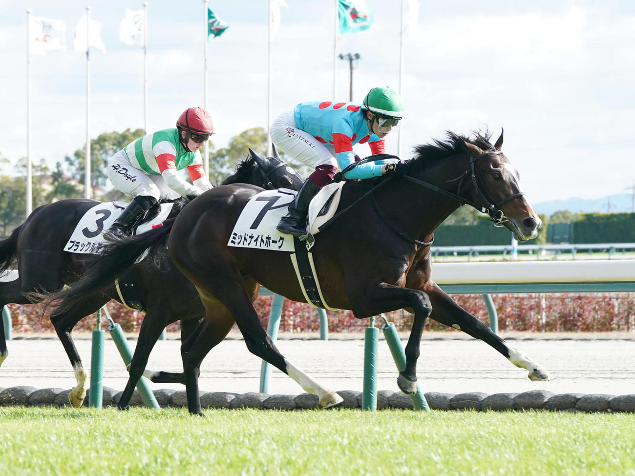 新馬戦を制したミッドナイトホーク（撮影・森本幸一）