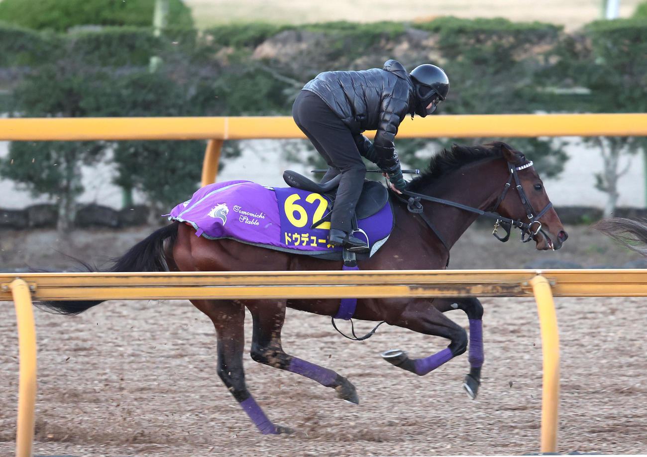 Cウッドを併せ馬で追い切るドウデュース（撮影・白石智彦）