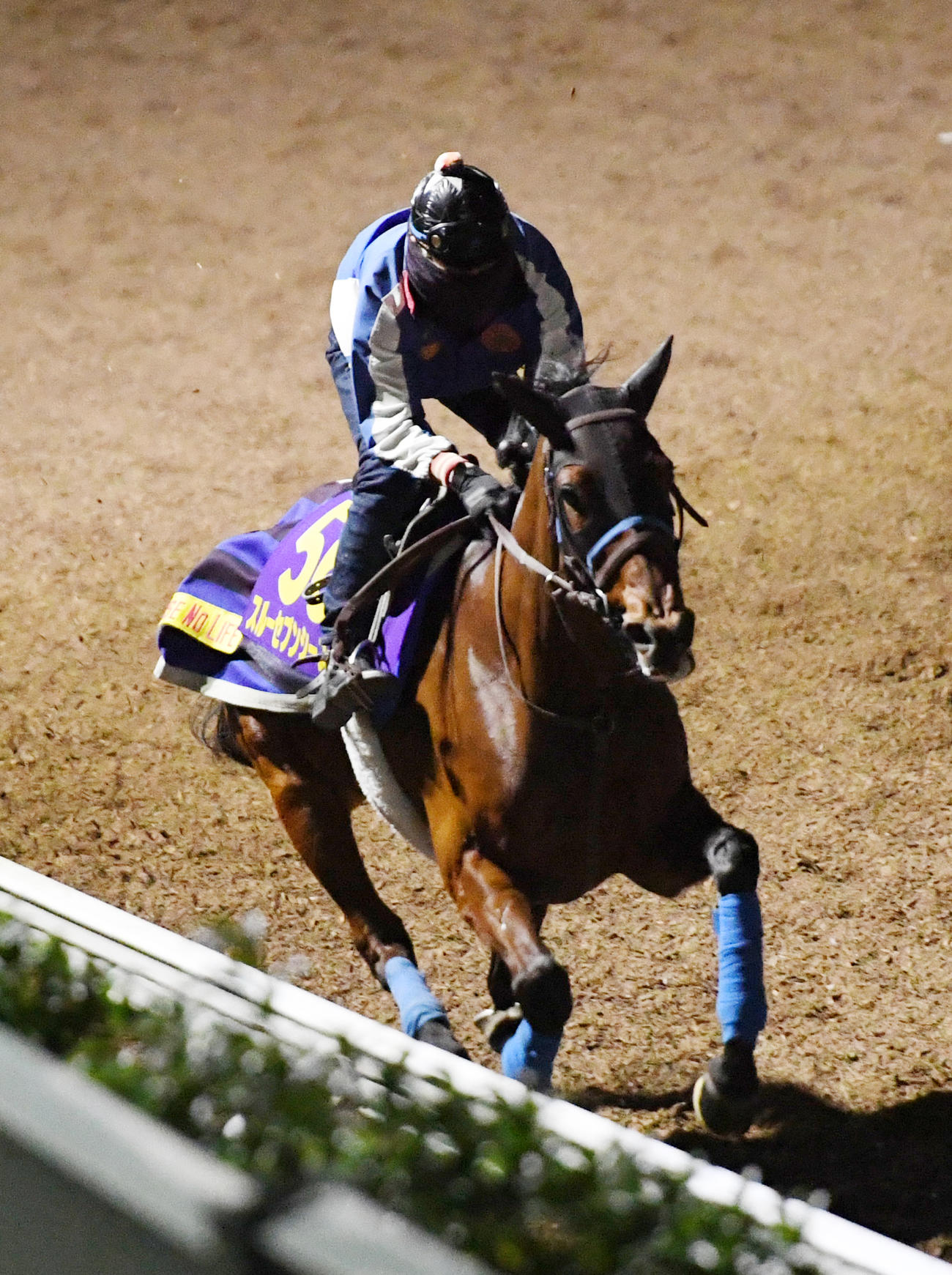 坂路で調整するスルーセブンシーズ（撮影・柴田隆二）