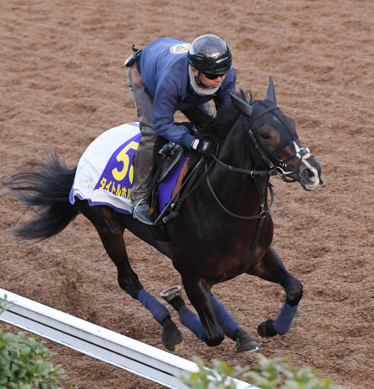 坂路で追い切るタイトルホルダー（撮影・柴田隆二）