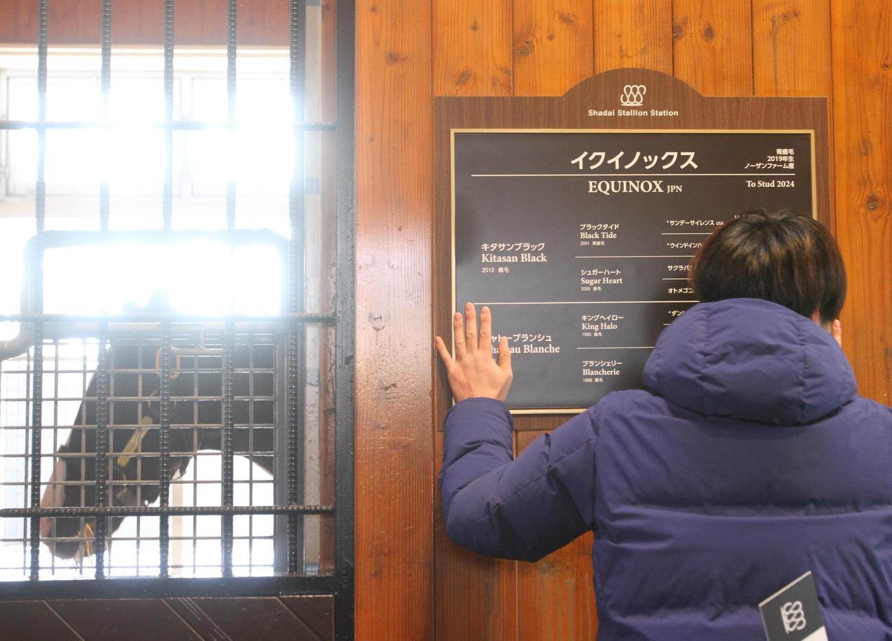 イクイノックスの馬房にプレートを掲出する関係者（撮影・奥村晶治）