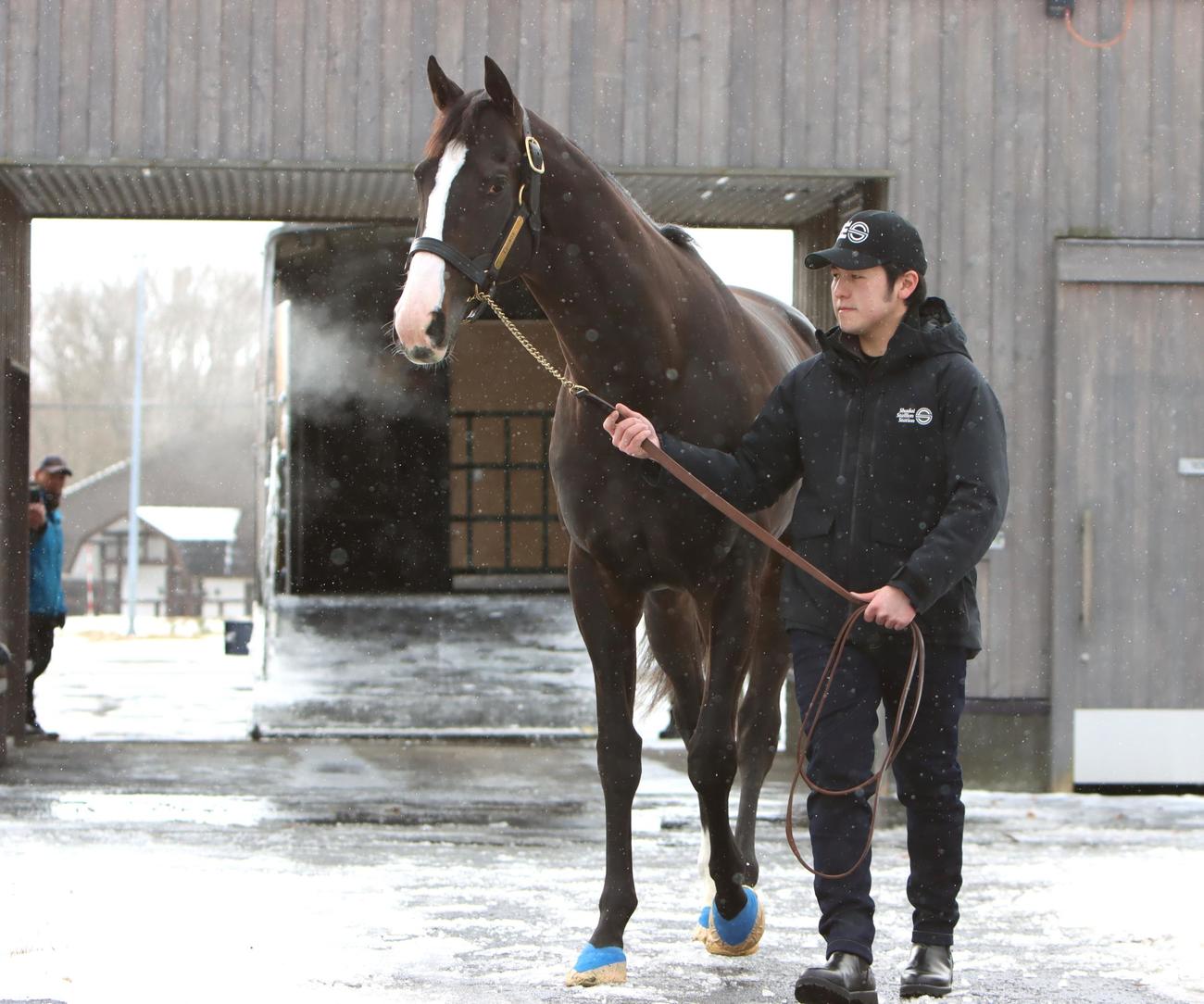 真っ白な息を吐きながら馬運車から降りるイクイノックス（撮影・奥村晶治）