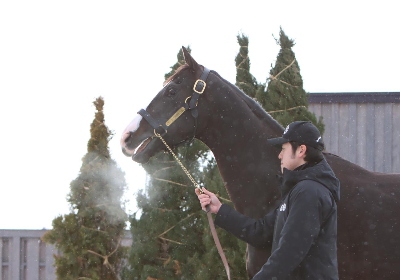 真っ白な息を吐きながら馬運車から降りるイクイノックス（撮影・奥村晶治）