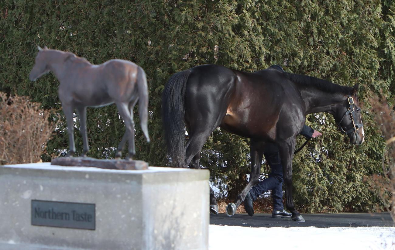 ノーザンテースト馬像の横を歩くイクイノックス（撮影・奥村晶治）
