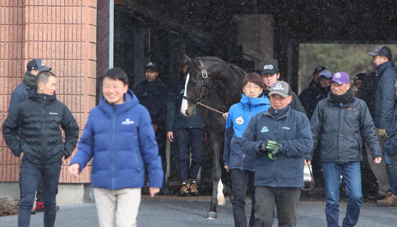 大勢の関係者らに出迎えられたイクイノックス（撮影・奥村晶治）
