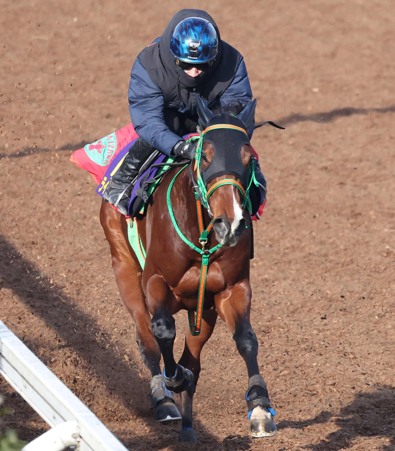 ライラックは美浦坂路を力強いフットワークで駆け上がった（撮影・丹羽敏通）