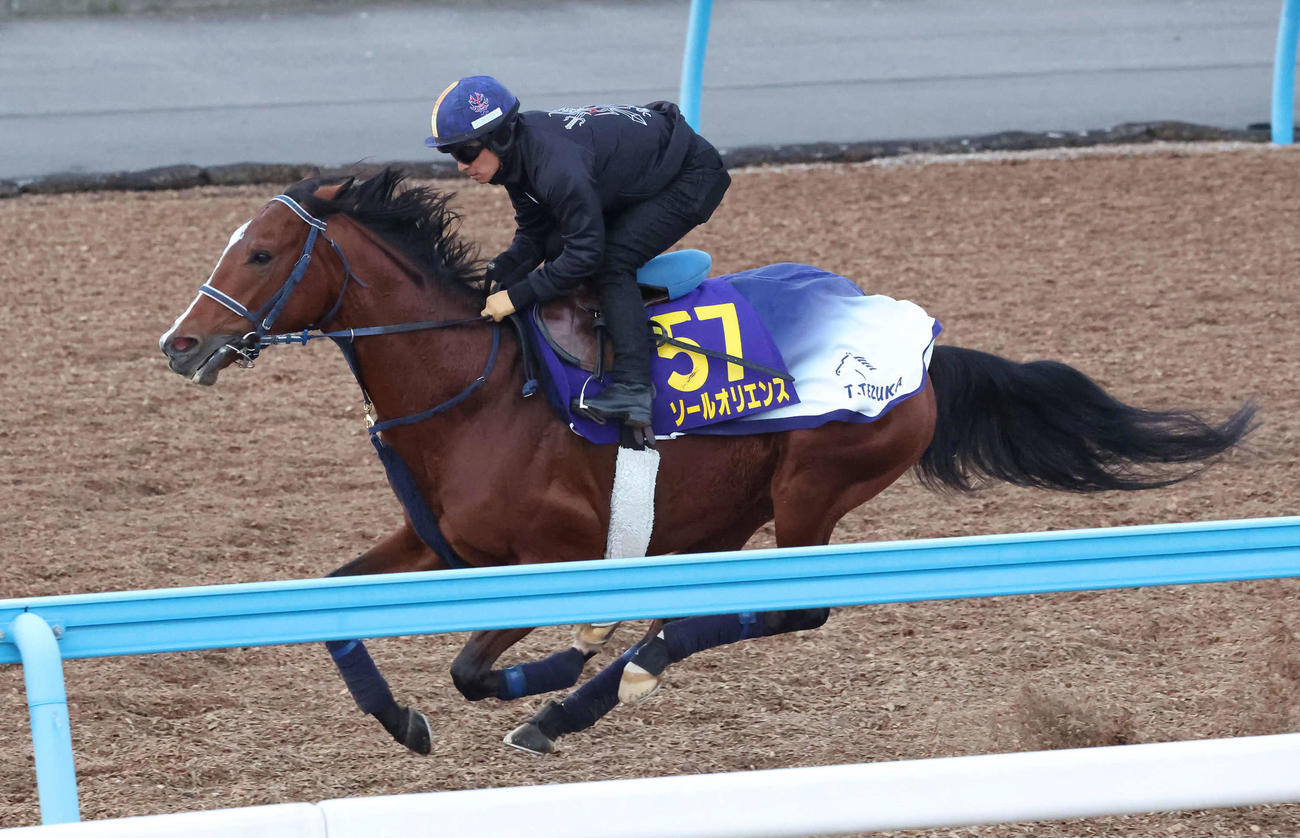 巻き返しを期すソールオリエンスは初コンビの川田騎手を背に美浦ウッドで追い切られた（撮影・丹羽敏通）