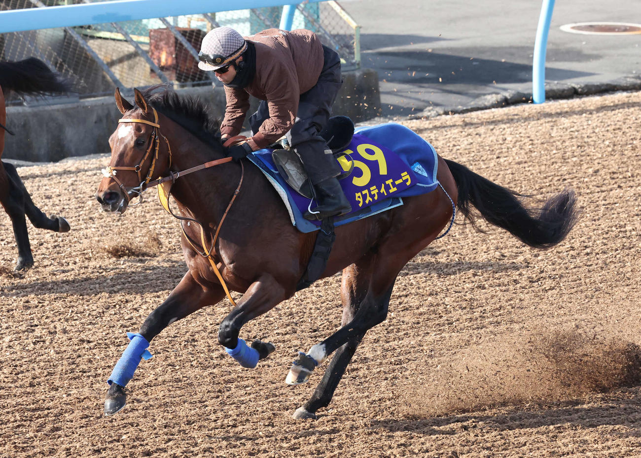 タスティエーラは力強いフットワークで美浦ウッドを駆け抜けた（撮影・丹羽敏通）