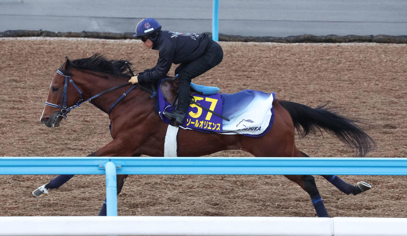 巻き返しを期すソールオリエンスは初コンビの川田騎手を背に美浦ウッドで追い切られた（撮影・丹羽敏通）