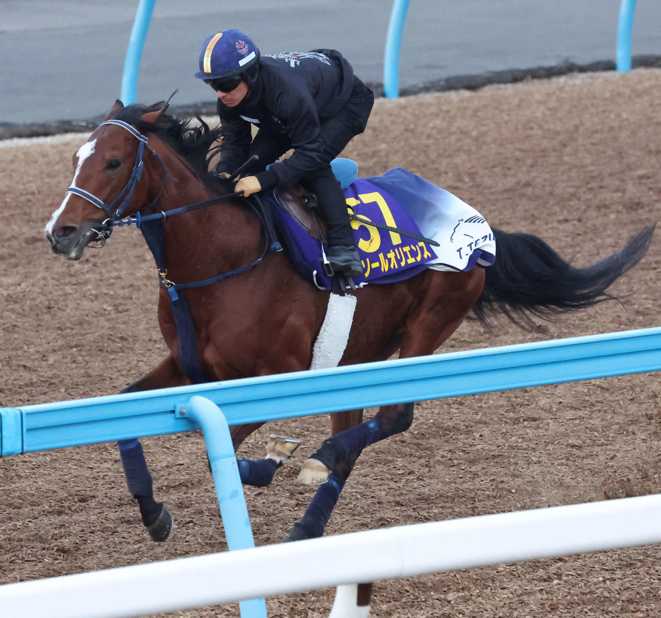 巻き返しを期すソールオリエンスは初コンビの川田騎手を背に美浦ウッドで追い切られた（撮影・丹羽敏通）