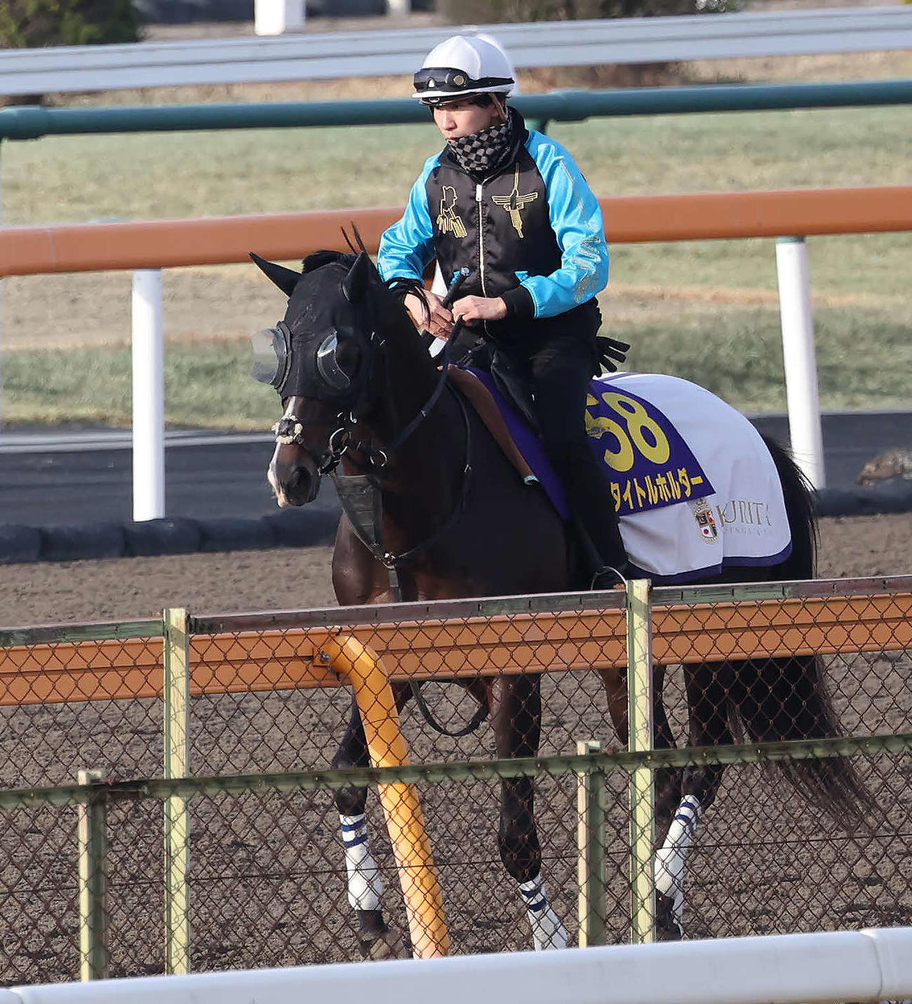 ダートコースで運動するタイトルホルダーと横山和騎手（撮影・丹羽敏通）