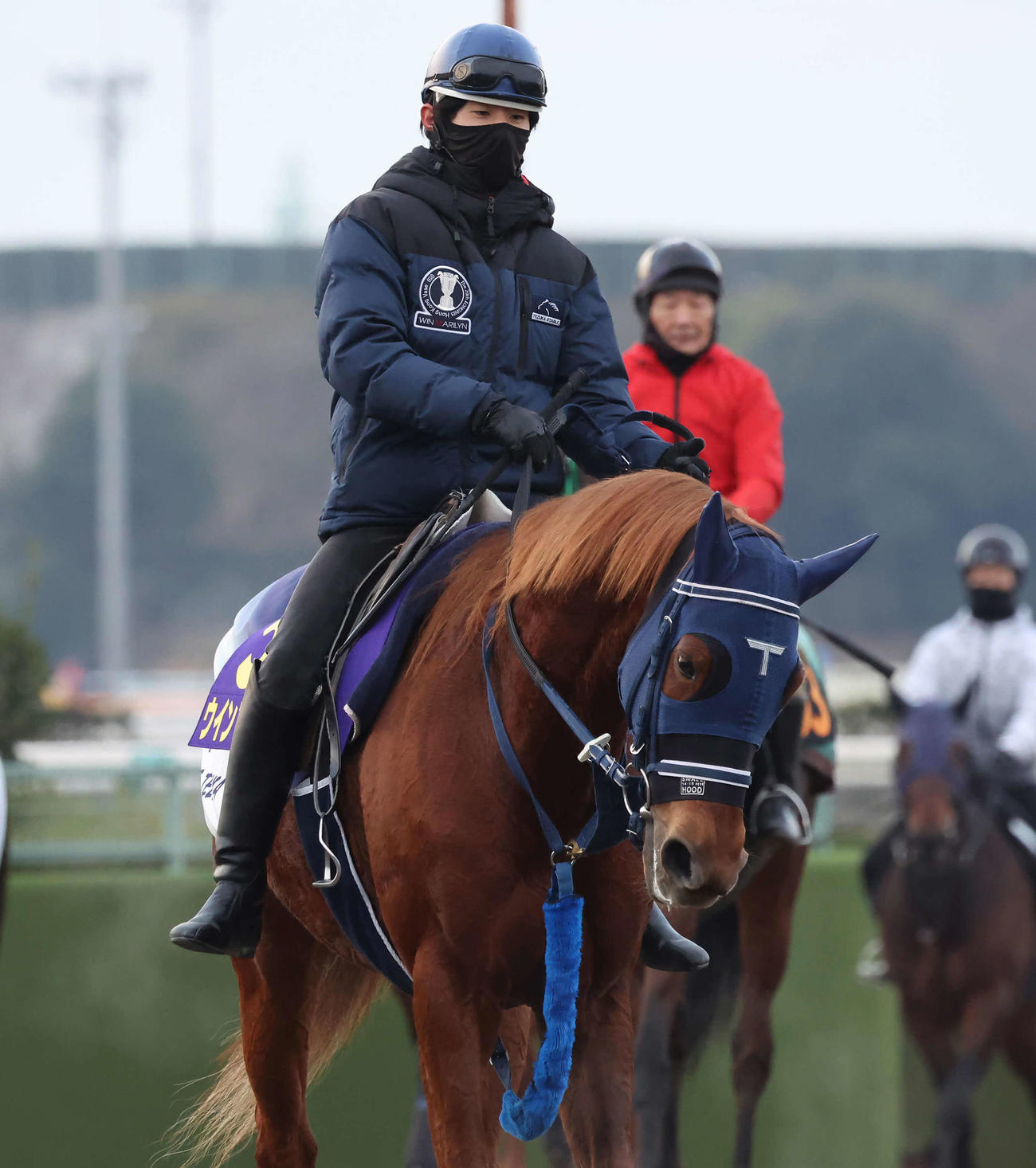 追い切りを終えて馬場を出るウインマリリンと嶋田騎手（撮影・丹羽敏通）