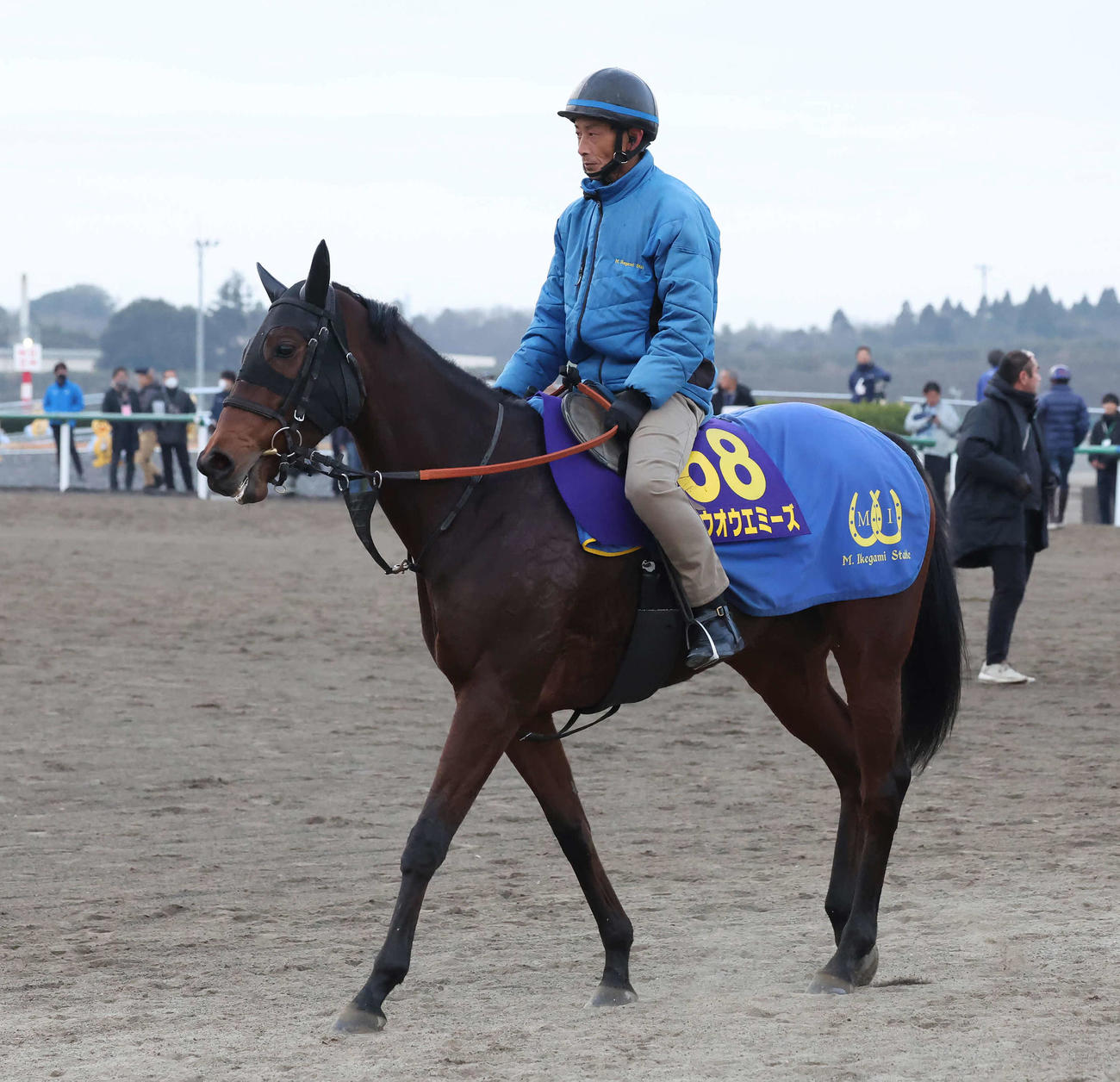追い切りを終えて馬場を出るホウオウエミーズ（撮影・丹羽敏通）
