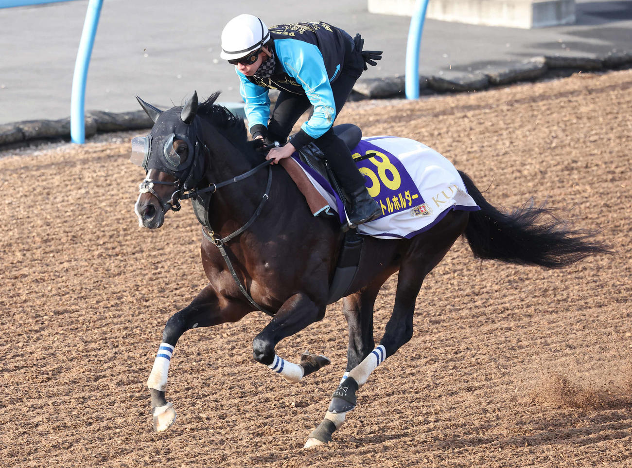 タイトルホルダーは横山和騎手を背に美浦ウッドで追い切られた（撮影・丹羽敏通）