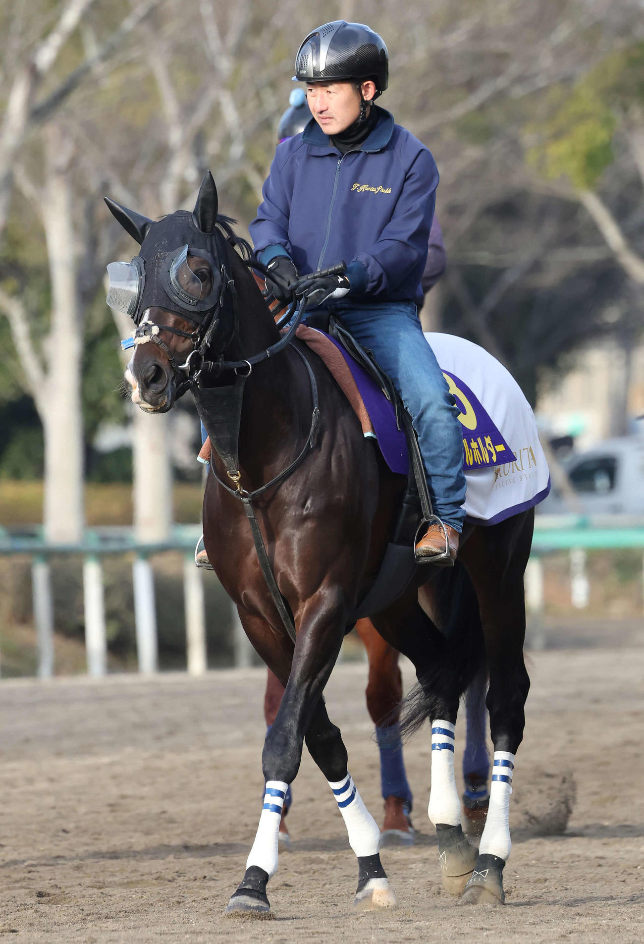 馬場へ向かうタイトルホルダー（撮影・丹羽敏通）