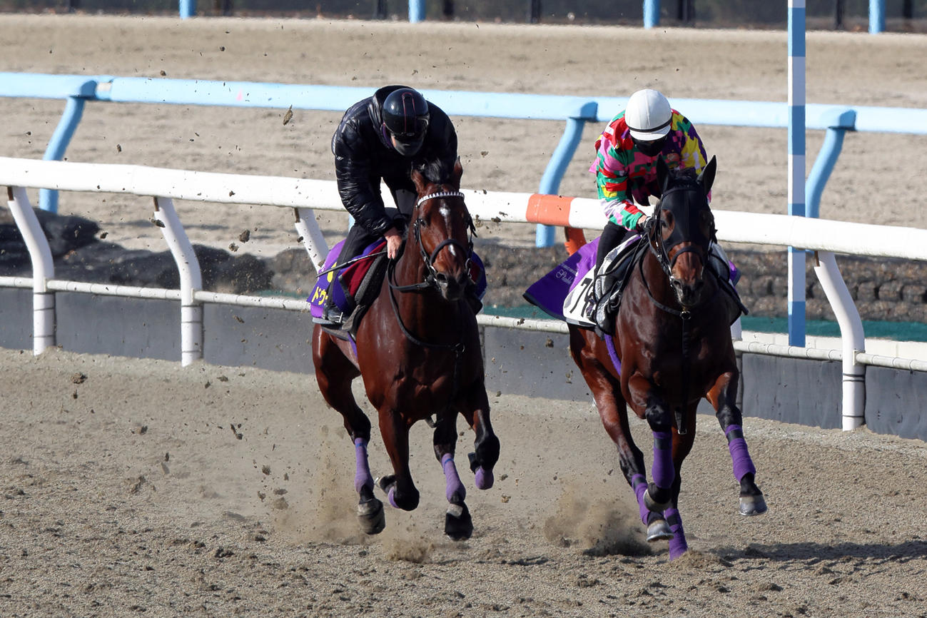 DPコース、アドマイヤソラ（右）と併せて追い切られたドウデュース