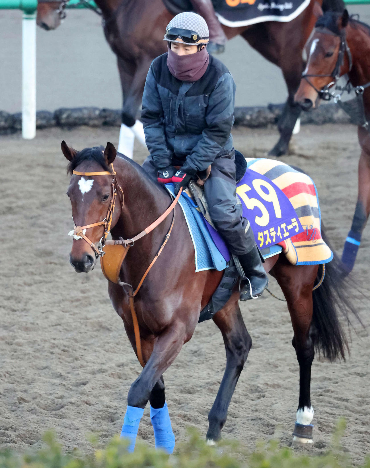 角馬場で調整するタスティエーラ（撮影・丹羽敏通）
