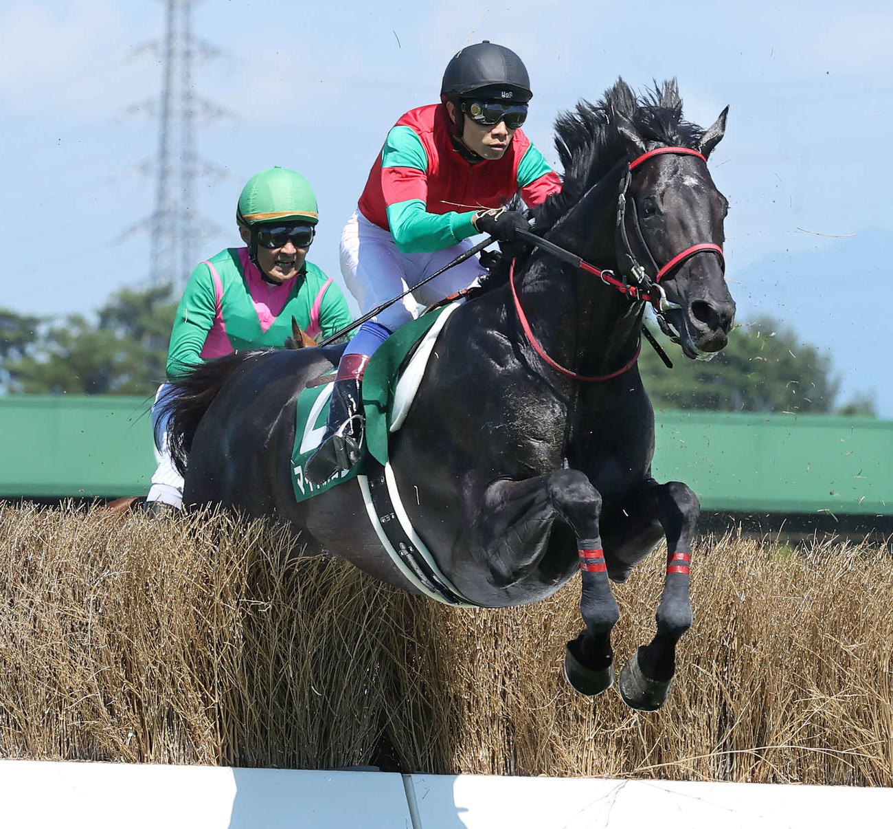 新潟JSに出走したマイネルグロン（2022年7月30日撮影）