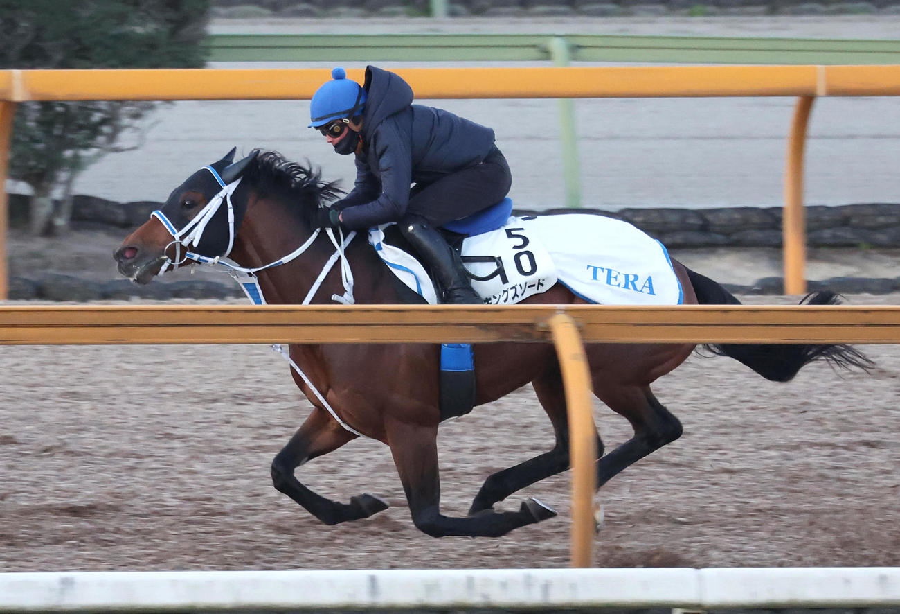岩田望騎手を背にCウッドを併せ馬で追い切るキングズソード（撮影・白石智彦）