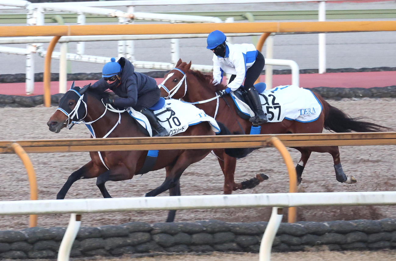 岩田望騎手を背にCウッドを併せ馬で追い切るキングズソード（左）（撮影・白石智彦）