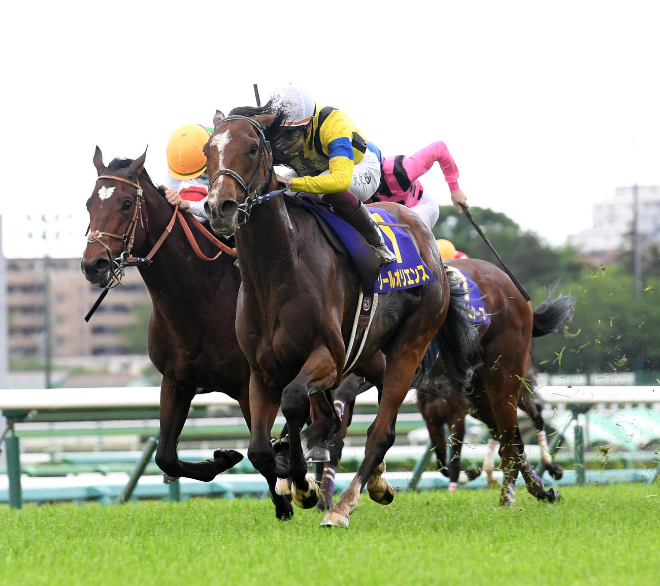 最内1番から皐月賞を制したソールオリエンス（右）（2023年4月16日撮影）