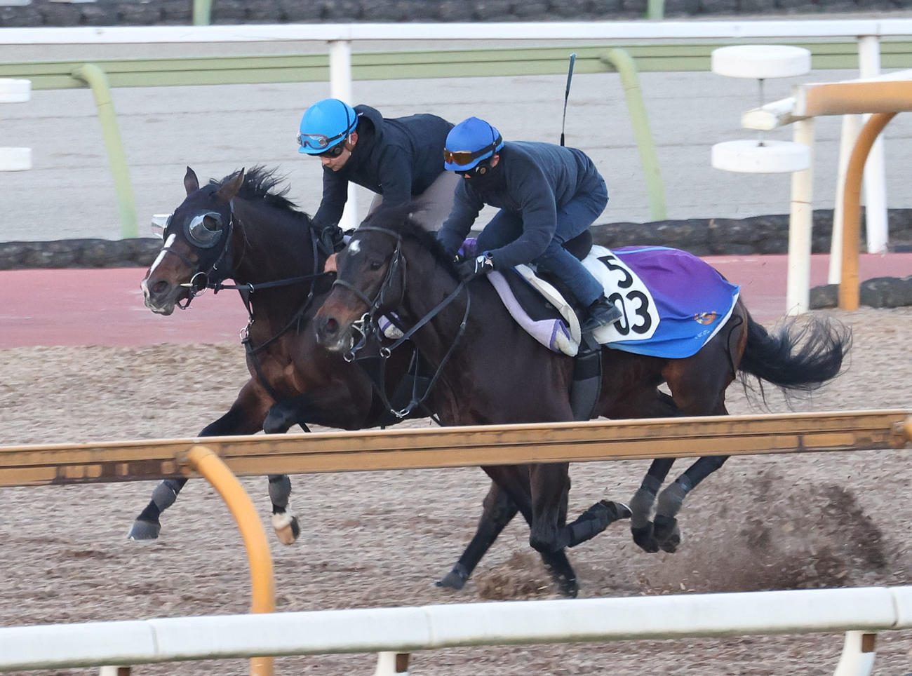佐々木騎手を背にCウッドを併せ馬で追い切るインザモーメント（左）（撮影・白石智彦）
